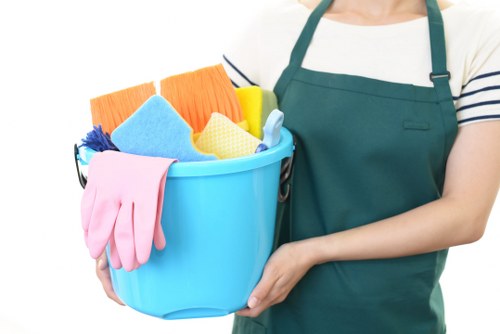 Professional move in cleaning for a St Johns Wood apartment living area