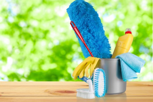 Professional deep cleaning service in a St Johns Wood home