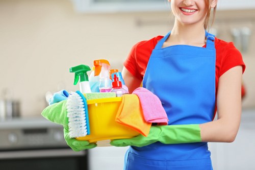 Accessible cleaning service information for St Johns Wood users