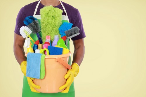 Professional cleaners in St Johns Wood introducing the cleaning service
