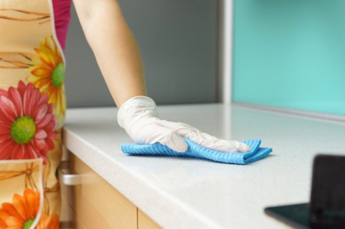 End of tenancy cleaning service for a St Johns Wood apartment kitchen