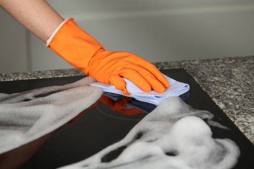 Cleaning service terms and conditions introduction