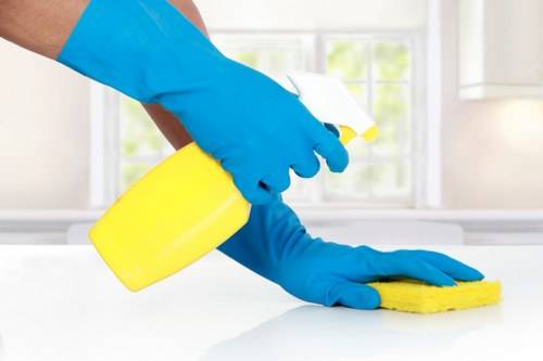Cleaner preparing a window cleaning service for a St Johns Wood property