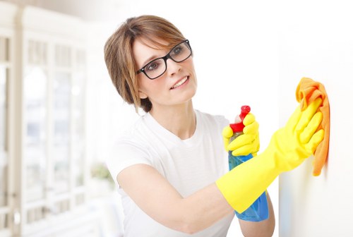 Step-by-step pet stain cleaning process in a St Johns Wood home