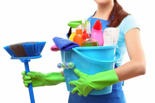 Regular home cleaning service for a flat in St Johns Wood