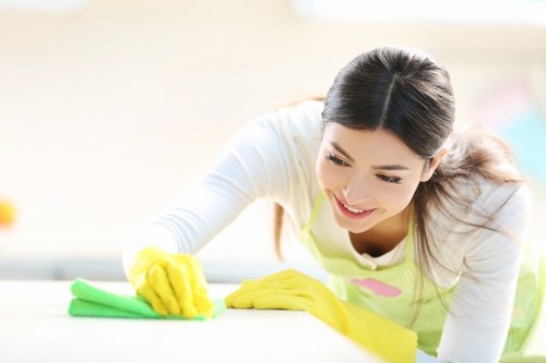 Deep cleaning equipment used for pet stain odour removal on upholstery