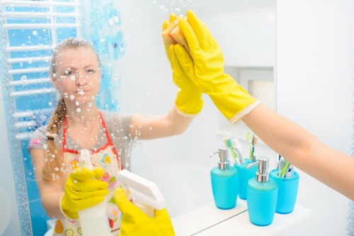 Risk assessment and safe cleaning practice in a St Johns Wood property