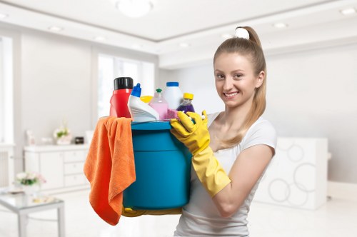 Domestic cleaning for a family home near St Johns Wood